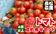 ＜早期予約＞令和６年度産 長松農園トマト詰め合せ セット 4種類以上 約２kg【滝沢産業開発株式会社】