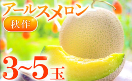 表面に浮かぶしっかりとした網目模様が特徴のアールスメロン。熟すと芳醇な香りが漂います。果肉は薄いグリーン、一口頬張ると甘い果汁が口の中いっぱいに広がります。メロンの甘さをしっかりと味わっていただけます