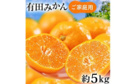 ご家庭用 濃厚 完熟 有田みかん 5kg【先行予約 2024年11月上旬～11月下旬発送】【農家直送】