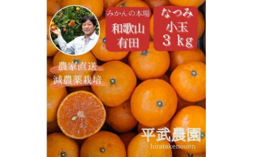 蛍飛ぶ町から旬の便り　なつみオレンジ 小玉3kg　平武農園 690269 - 和歌山県有田川町