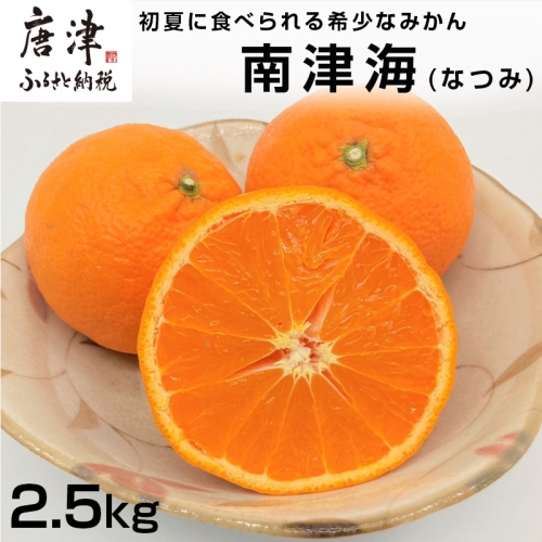 南津海(なつみ) ハウス栽培 唐津産 2.5kg みかん ミカン 果物 フルーツ 柑橘「2023年 令和5年」
