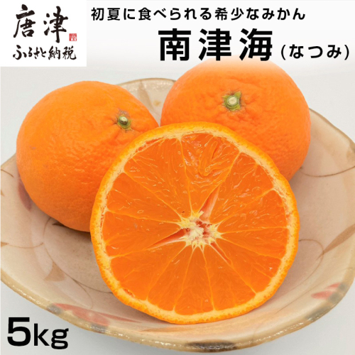 『予約受付』【令和7年4月上旬発送】南津海(なつみ) ハウス栽培 唐津産 5kg みかん ミカン 果物 フルーツ 柑橘 690296 - 佐賀県唐津市