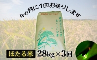 [定期便 年3回発送]ほたる米ひとめぼれ 精米84kg(28kg×3回)