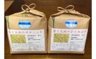 2023年産 米 ササニシキ & ひとめぼれ 食べ比べ 4kg ( 各2kg ) 宮城県産（白米）農薬・化学肥料不使用
