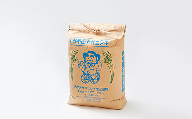 米 ササニシキ 宮城県産 10kg ( 5kg × 2袋 )みやぎの環境にやさしい農産物認証