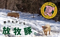数量限定 発酵飼料で育つ！日本で一番旨い豚肉と威張る「いばり仔豚」ロース、バラ、もも、カタ　しゃぶしゃぶ用各300g　計1.2kg
