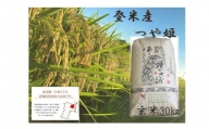 【令和5年産】米 玄米 つや姫 宮城県 登米市産 30kg