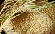 【令和4年新米】高原さんの 福栄米（ふくえまい）コシヒカリ　玄米10kg