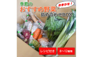 季節のおすすめ野菜おまかせ詰め合わせBOX 8種〜12種類 通常サイズ 野菜セット 1万円 10000円【16101】