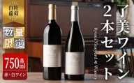 自社葡萄を使用したワイン 750ml×2本 ta202【了美ワイナリー】