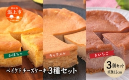 【ふるさと納税】ベイクドチーズケーキ3種 3個セット
