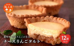 クリームチーズをたっぷり使ったチーズタルトの詰め合わせです。中に入っているりんご果肉の酸味とチーズの甘味が、サクサクのタルト生地と相性抜群です。障害福祉サービス事業所「飯田川つくし苑」の利用者たちが丹