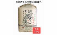 【定期便／全6回】宮城県登米市産ひとめぼれ玄米30kg