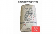 【定期便／全6回】宮城県登米市産つや姫玄米30kg