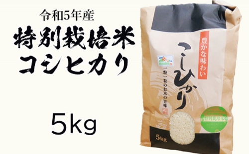 令和五年産特別栽培米 コシヒカリ 5kg お米 コシヒカリ 692852 - 茨城県常総市