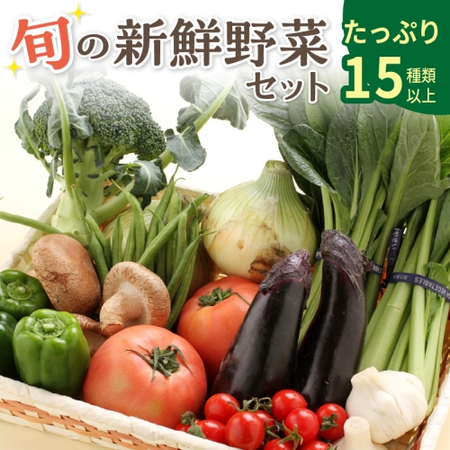 旬の新鮮野菜セットたっぷり15種以上 69293 - 和歌山県御坊市