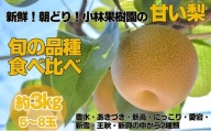【先行予約・9月上旬以降発送】小林果樹園の甘い梨　食べ比べ5～8玉