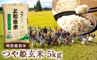 山形県 高畠町産 特別栽培米 つや姫 玄米 5kg お米  ブランド米 米  ごはん ご飯  F20B-208
