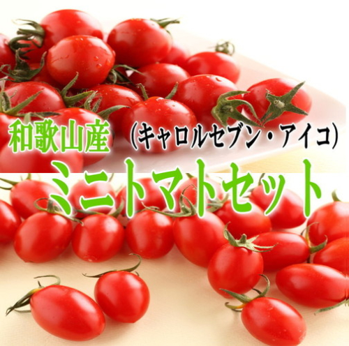 ミニトマトセット【 キャロルセブン・アイコ】2kg 和歌山産《先行予約》 69356 - 和歌山県御坊市