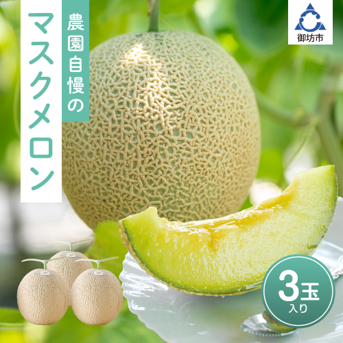 農園自慢の「マスクメロン」×3玉入り《先行予約》2027年6月下旬から順次発送【配送不可地域：北海道・青森・秋田・岩手・沖縄・離島】 69370 - 和歌山県御坊市