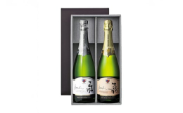 ●嘉シャルドネ辛口750ml1本豊かなうまみをともなう酸を感じられるすっきりとした味わいは、和洋中問わずさまざまなお食事と合わせていただけるスパークリングワインです。・ジャパンワインチャレンジ2012