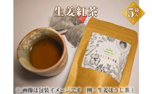 生姜紅茶  飲料類 お茶 紅茶 生姜紅茶 694007 - 茨城県常総市