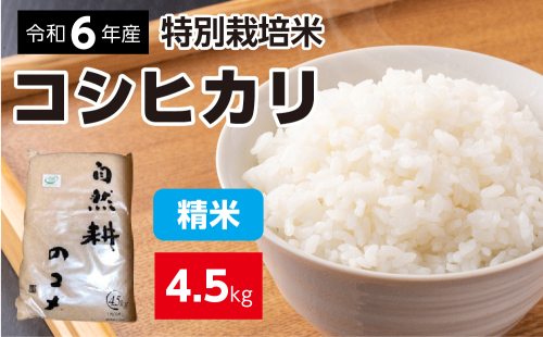 令和六年産特別栽培米コシヒカリ4.5kg 精米  694528 - 茨城県常総市