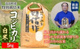 【ふるさと納税】【遠藤農園】 高畠町産 特別栽培米 コシヒカリ 白米 5kg F20B-689