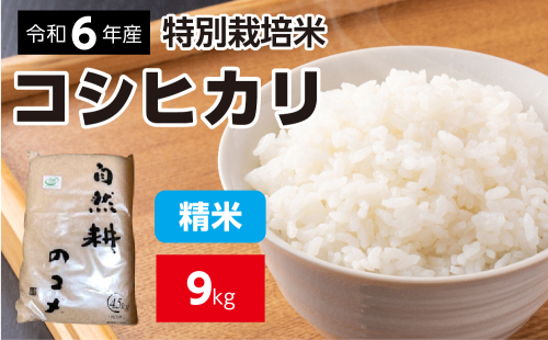 令和六年産特別栽培米コシヒカリ9kg（4.5kg×2袋）精米 694532 - 茨城県常総市