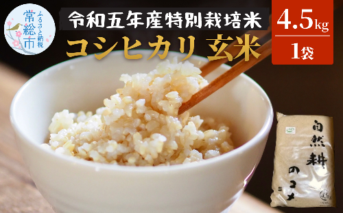 令和五年産特別栽培米コシヒカリ4.5kg 玄米 