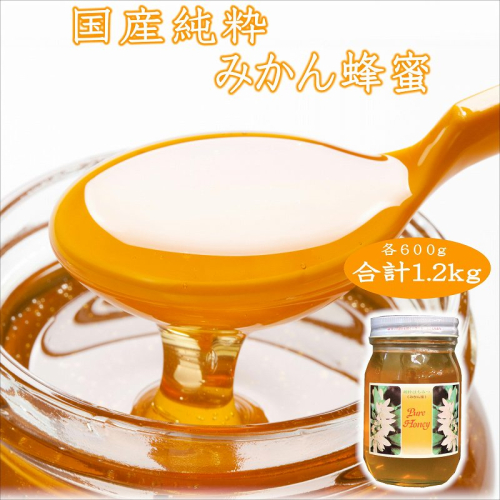 紀州のみかん蜜セット600g×2本 69497 - 和歌山県御坊市