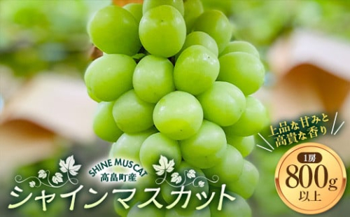 《先行予約》山形県高畠町産 贈答用 シャインマスカット 800g以上(1房) 2024年9月下旬から順次発送 ぶどう ブドウ 葡萄 マスカット 大粒 種なし 高級 くだもの 果物 フルーツ 秋果実 産地直送 農家直送 数量限定 化粧箱 贈答 ギフト F20B-812