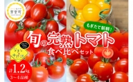 【先行受付】北海道十勝芽室町 なまら十勝野の旬の完熟トマトを3～4品種詰め合わせた食べ比べセット me001-013c
