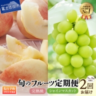 【2回定期便】山梨県産 旬のフルーツセット(桃・シャインマスカット)