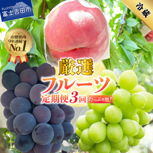 【2026年発送 先行予約】【定期便】 厳選 フルーツ3回定期便
 695247 - 山梨県富士吉田市