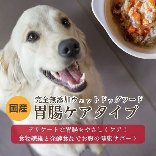 [無添加ウェットドッグフード] 胃腸ケアタイプ (5パック) 695440 - 京都府京丹後市