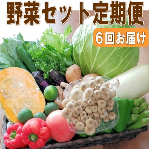 定期便 旬の新鮮野菜セットB【年6回】たっぷり15品以上