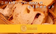005c001 こだわりパンの3000円おまかせセット