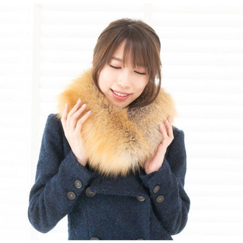 フィンランド産SAGAゴールデンアイランドフォックスカラー 69588 - 和歌山県御坊市