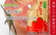 濃い搾り　南郷トマトジュース　12パック [№5633-0157]