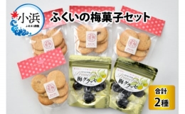 【ふるさと納税】ふくいの梅菓子セット（福井の蜜梅クッキーと梅グラッセセミドライタイプ）