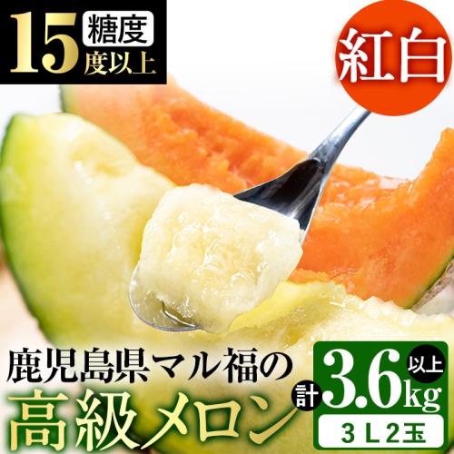 【25362】＜先行予約受付中！2021年4月20日～30日頃発送＞【紅白】高級アールスメロン(3L大玉2玉、3.6-5kg)【マル福園芸組合】 69747 - 鹿児島県東串良町