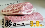 茨城県産 豚 ロース 3.8kg〜5kg ブロックを2分割でお届け お肉 ロース 豚ロース 真空パック う〜んまいから！くっちみ〜 [№5802-0500]