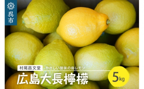 <選べる配送時期>国産檸檬(レモン)発祥の地 広島大長檸檬 5kg 698077 - 広島県呉市