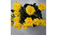 薔薇の花束単色10本セット【ゴールドラッシュ（黄色）】