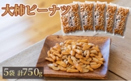 【水川商店謹製】大柿ピーナツ　5袋セット（計750g） [№5802-0869]