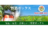 20-06【3ヵ月連続お届け】阿見町産野菜ボックス（7～8品）