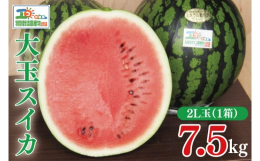 &starf;【2023年6月上旬〜7月下旬頃にお届け】の先行予約品です。※上記期間以外での配送は致しかねますので、ご了承の上お申込みいただきますようお願い申し上げます。土づくり・肥料にこだわ