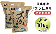 20-21茨城県産コシヒカリ特別栽培米10kg（5kg×2袋）玄米【大地のめぐみ】