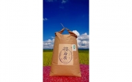 體力米（たいりょくまい）コシヒカリ白米10kg